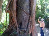 Albums/20060200-New Zealand 2006/20060205-Greymouth_Punakaiki/36